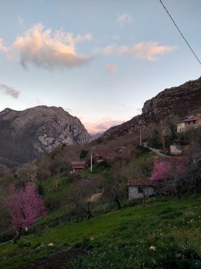 El Llagar *